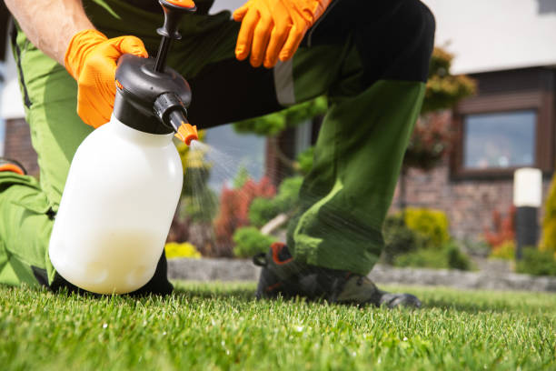 Best Flea Control Services  in Nesquehoning, PA
