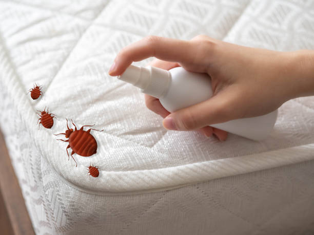Best Affordable Pest Control Services  in Nesquehoning, PA
